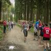 pferd-werkzeuge-lauf-06-2017 (652)
