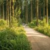 pferd-werkzeuge-lauf-06-2017 (343)