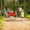 pferd-werkzeuge-lauf-06-2017 (51)