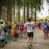 pferd-werkzeuge-lauf-06-2017 (594)