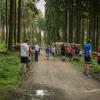 pferd-werkzeuge-lauf-06-2017 (658)