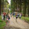 pferd-werkzeuge-lauf-06-2017 (567)
