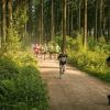 pferd-werkzeuge-lauf-06-2017 (365)