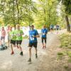 pferd-werkzeuge-lauf-06-2017 (454)