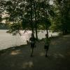 pferd-werkzeuge-lauf-06-2017 (439)