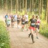 pferd-werkzeuge-lauf-06-2017 (391)