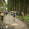 pferd-werkzeuge-lauf-06-2017 (622)