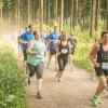 pferd-werkzeuge-lauf-06-2017 (393)