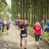 pferd-werkzeuge-lauf-06-2017 (665)