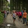 pferd-werkzeuge-lauf-06-2017 (653)