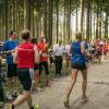 pferd-werkzeuge-lauf-06-2017 (616)