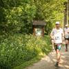 pferd-werkzeuge-lauf-06-2017 (317)