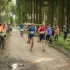 pferd-werkzeuge-lauf-06-2017 (614)