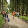 pferd-werkzeuge-lauf-06-2017 (573)