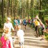 pferd-werkzeuge-lauf-06-2017 (86)