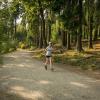 pferd-werkzeuge-lauf-06-2017 (551)