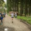 pferd-werkzeuge-lauf-06-2017 (586)