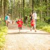 pferd-werkzeuge-lauf-06-2017 (38)