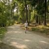 pferd-werkzeuge-lauf-06-2017 (550)