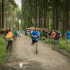 pferd-werkzeuge-lauf-06-2017 (634)
