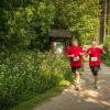 pferd-werkzeuge-lauf-06-2017 (336)