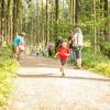 pferd-werkzeuge-lauf-06-2017 (14)