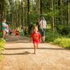 pferd-werkzeuge-lauf-06-2017 (41)