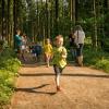 pferd-werkzeuge-lauf-06-2017 (26)