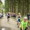 pferd-werkzeuge-lauf-06-2017 (646)