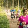 pferd-werkzeuge-lauf-06-2017 (377)
