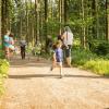 pferd-werkzeuge-lauf-06-2017 (33)