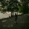 pferd-werkzeuge-lauf-06-2017 (509)