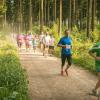 pferd-werkzeuge-lauf-06-2017 (374)