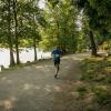 pferd-werkzeuge-lauf-06-2017 (435)