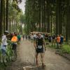 pferd-werkzeuge-lauf-06-2017 (628)