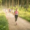 pferd-werkzeuge-lauf-06-2017 (385)