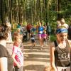 pferd-werkzeuge-lauf-06-2017 (124)