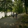 pferd-werkzeuge-lauf-06-2017 (421)