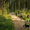 pferd-werkzeuge-lauf-06-2017 (347)