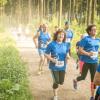 pferd-werkzeuge-lauf-06-2017 (405)