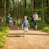 pferd-werkzeuge-lauf-06-2017 (24)