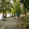 pferd-werkzeuge-lauf-06-2017 (452)