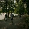 pferd-werkzeuge-lauf-06-2017 (429)