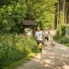 pferd-werkzeuge-lauf-06-2017 (259)