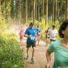 pferd-werkzeuge-lauf-06-2017 (370)