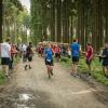 pferd-werkzeuge-lauf-06-2017 (656)
