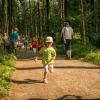pferd-werkzeuge-lauf-06-2017 (48)