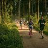 pferd-werkzeuge-lauf-06-2017 (355)