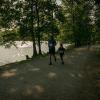 pferd-werkzeuge-lauf-06-2017 (535)