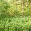 pferd-werkzeuge-lauf-06-2017 (251)